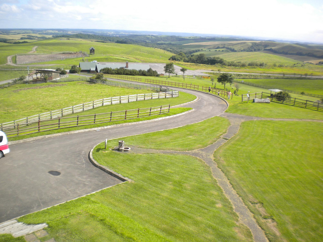 标茶町多和平-标茶町必去景点