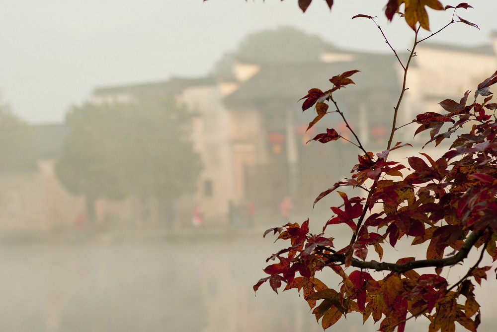 塔川秋色-黟县必去景点