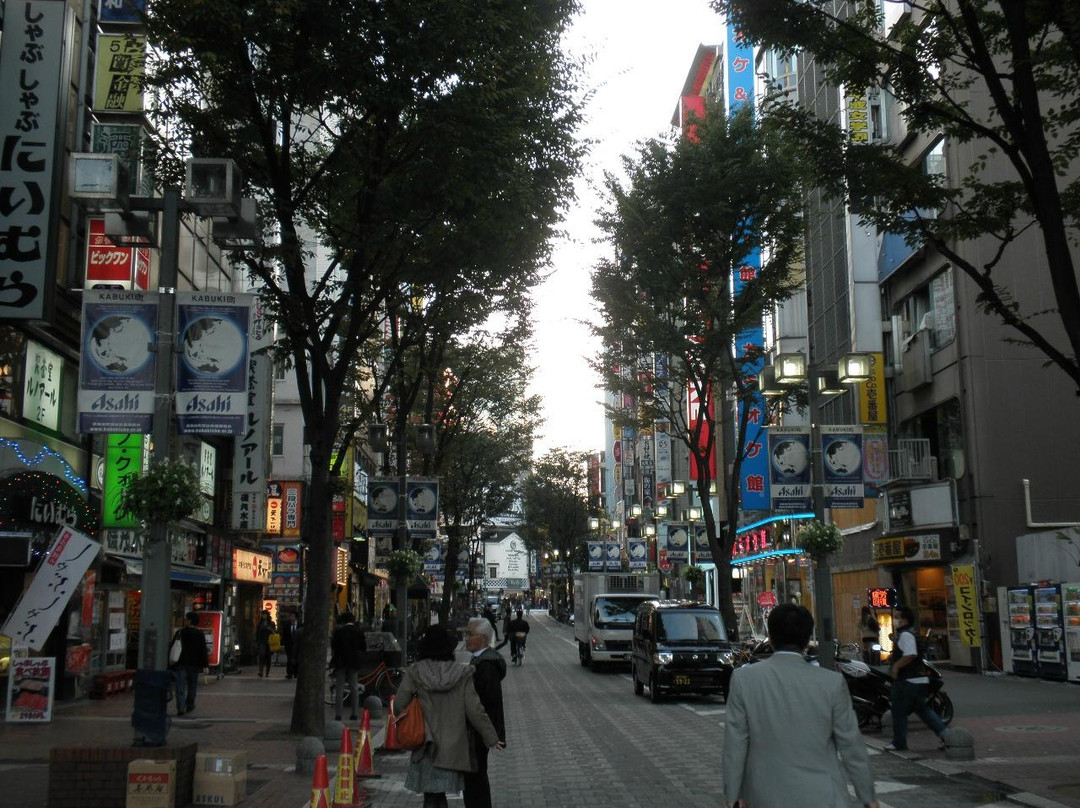 歌舞伎町-Kabukicho必去景点