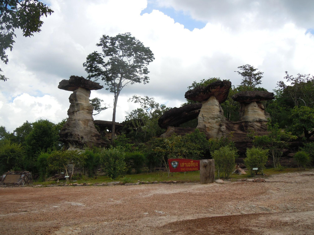 Pha Taem National Park景点图片