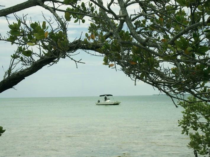 MiLo Watersports-Summerland Key必去景点