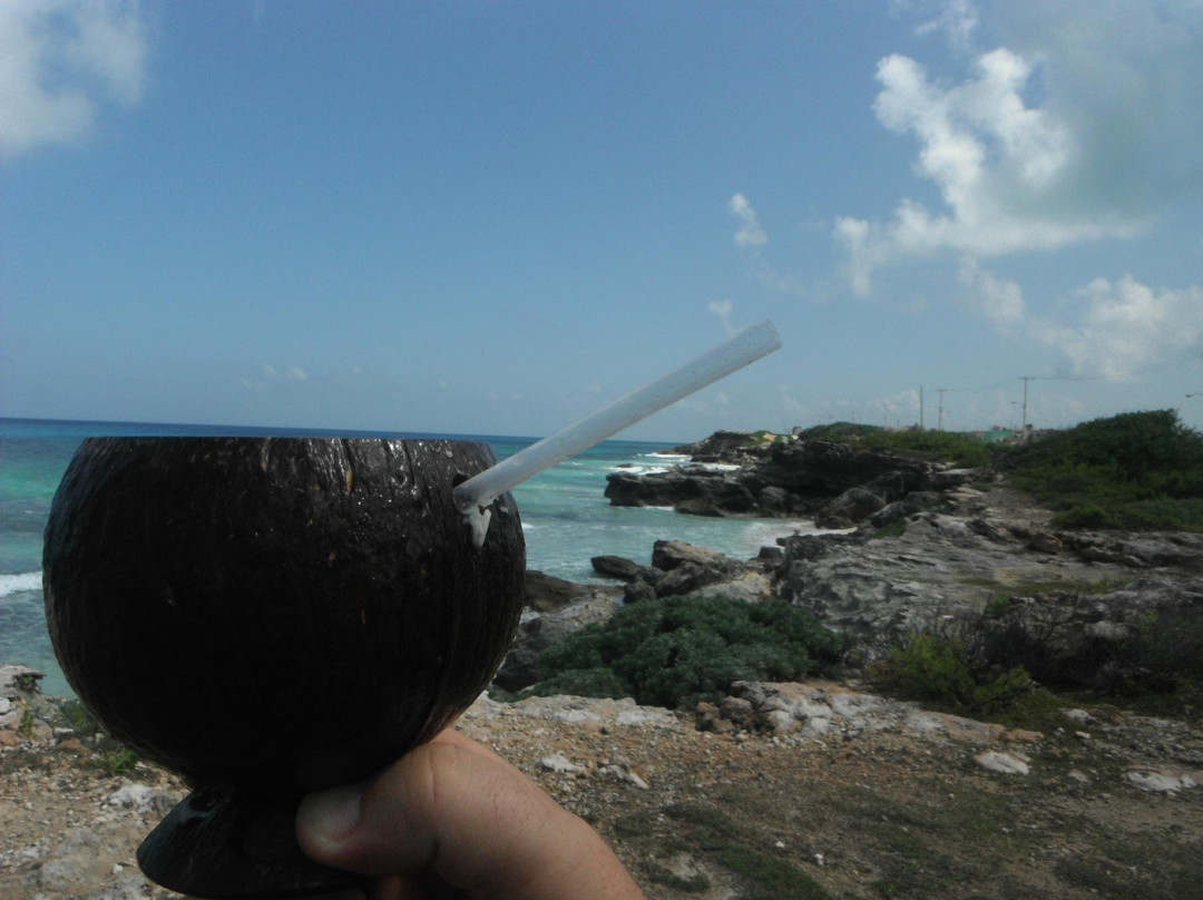 Villa La Bella Oceanfront Swing Bar-女人岛必去景点