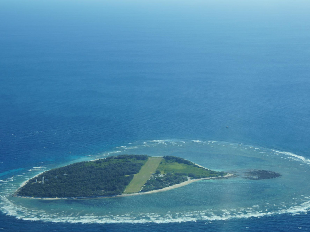 Lady Elliot Island Day Tour-埃里奥特夫人岛必去景点