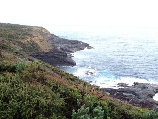 Cape Nelson lighthouse-波特兰必去景点