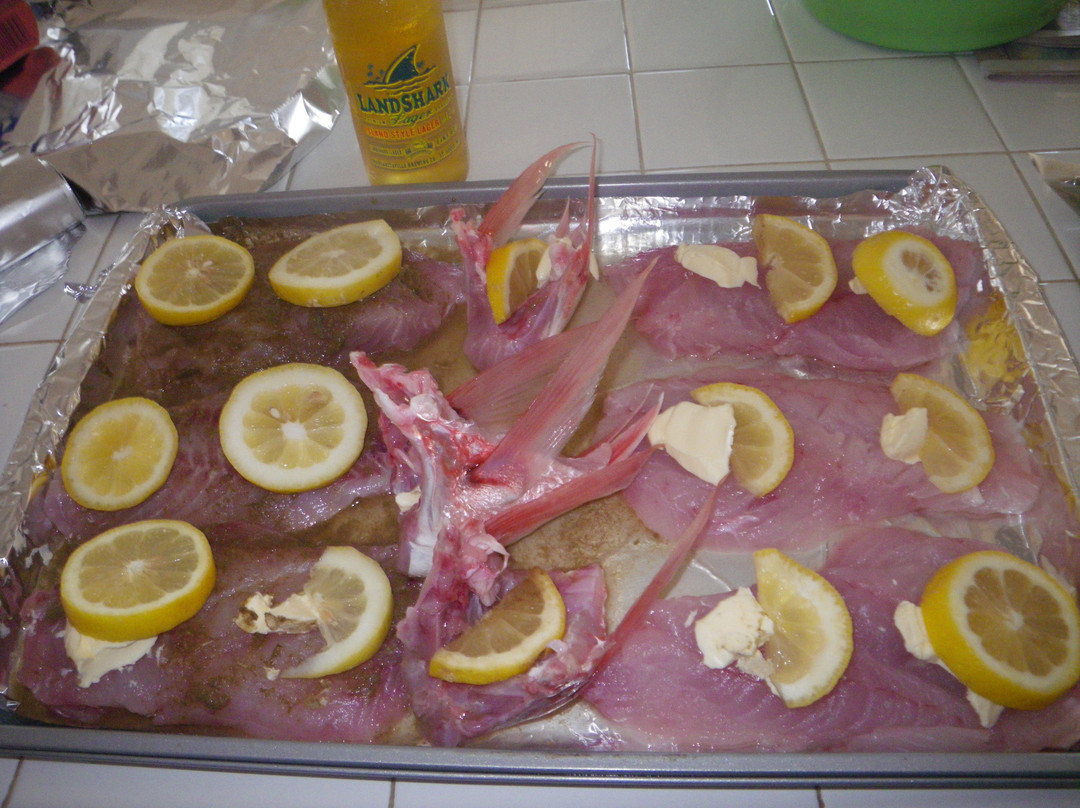 Osprey Cruises-Port Isabel必去景点