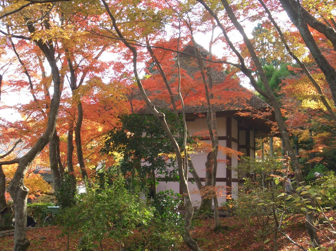 常寂光寺景点图片