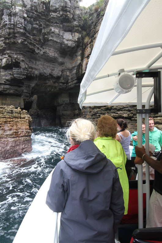 Jervis Bay Eco Adventures-Day Boat Tours景点图片