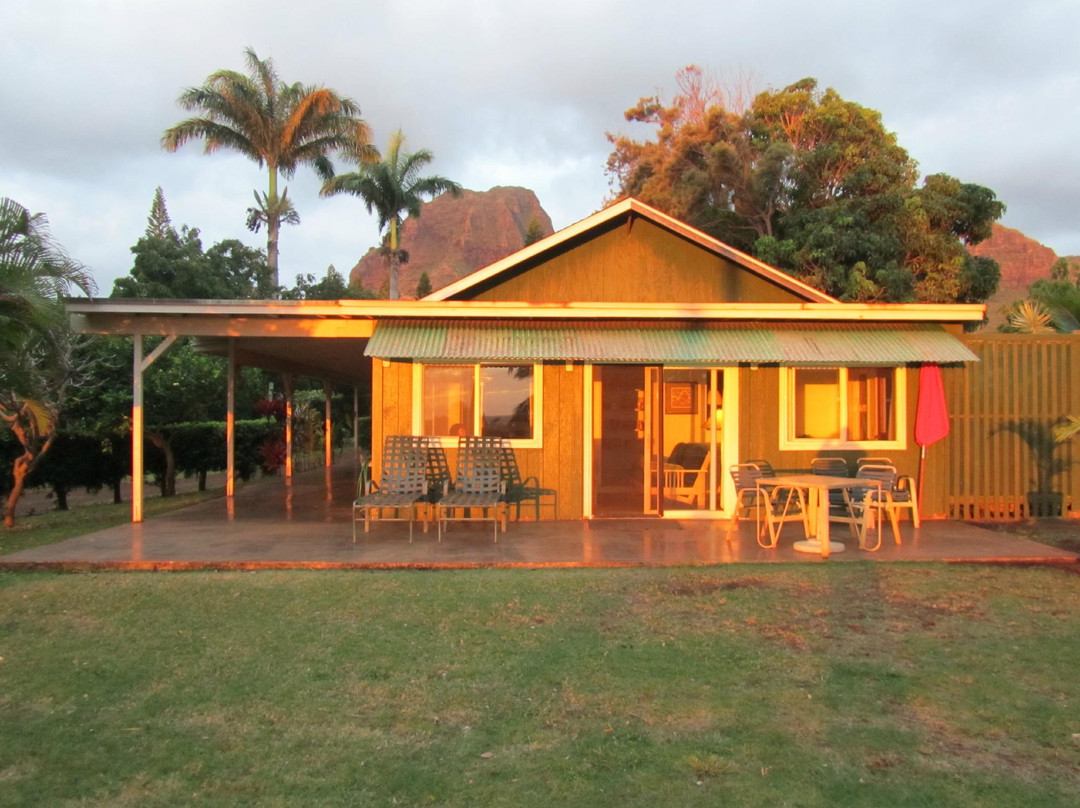 Mahinani's Farm
