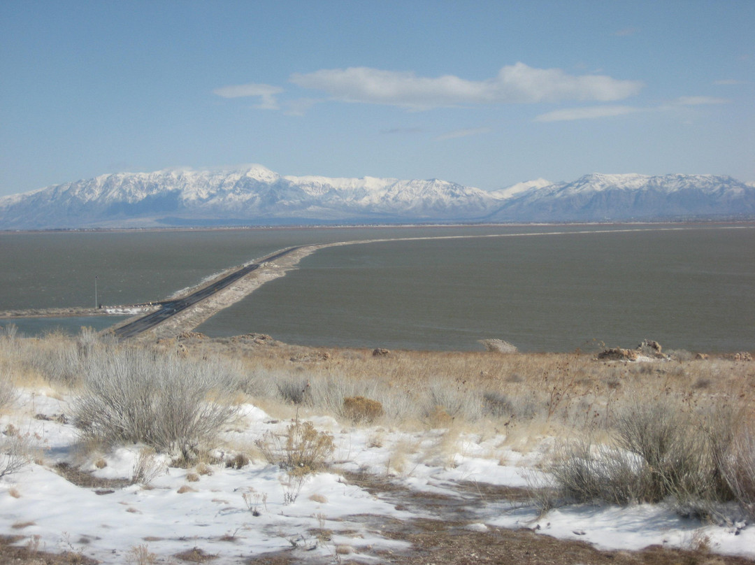 羚羊岛州立公园-Syracuse必去景点