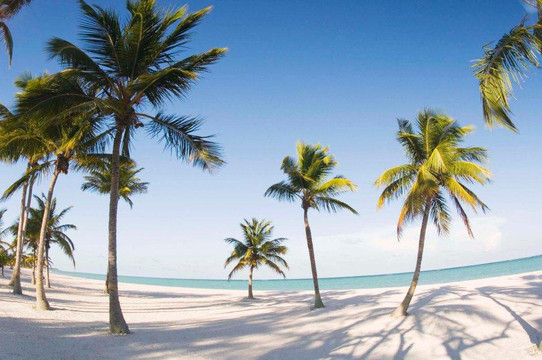 尼甘布海滩-尼甘布必去景点