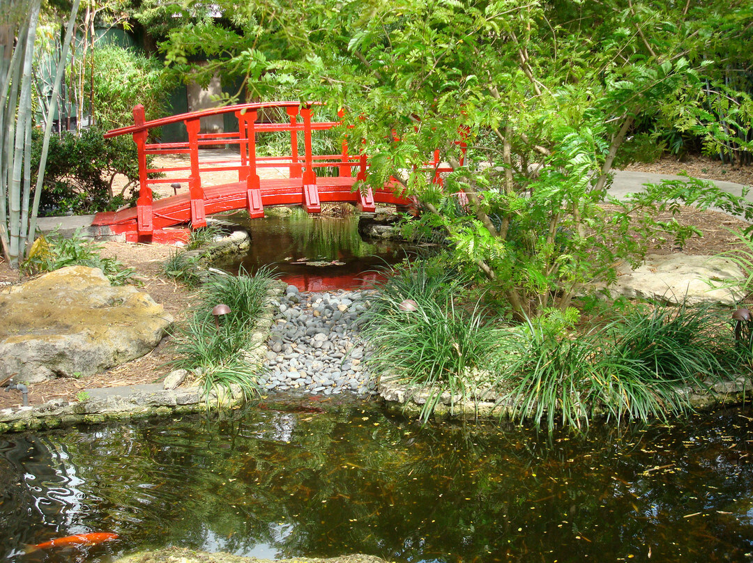 Miami Beach Botanical Garden景点图片