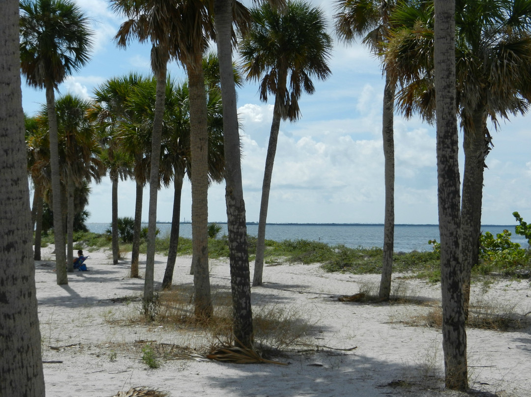 Fred Howard Park-塔彭斯普林斯必去景点