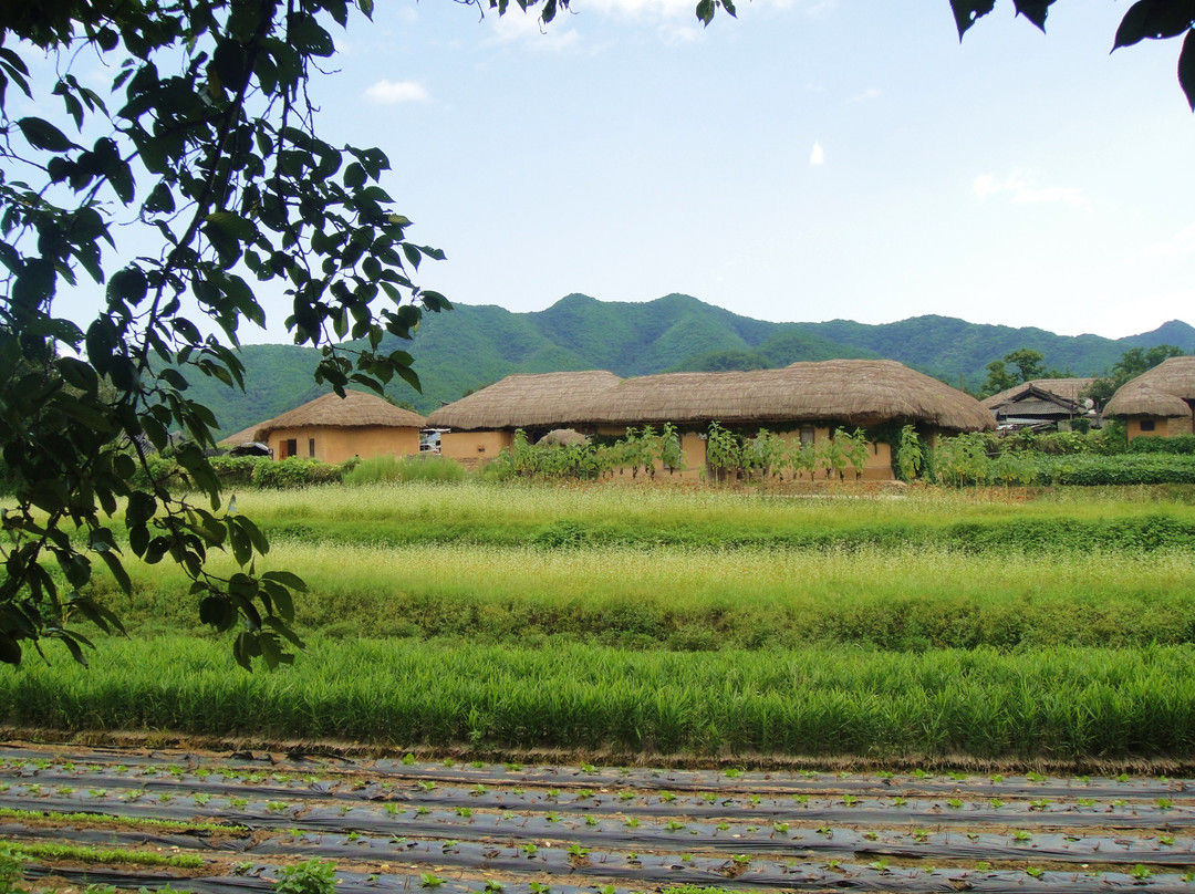 Andong Hahoe Folk Village-安东市必去景点