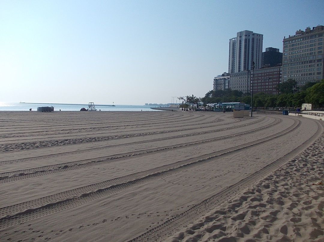 橡树街海滩-芝加哥必去景点