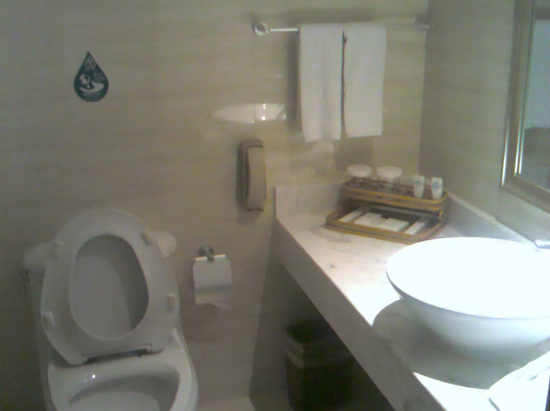 五洲大酒店主图