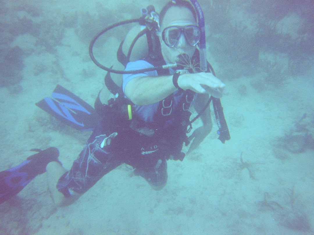 Jost Van Dyke Scuba-Jost Van Dyke必去景点