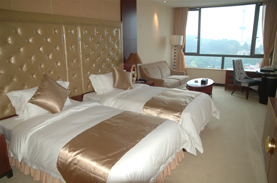 广州越秀宾馆希尔顿格芮精选酒店-客卧