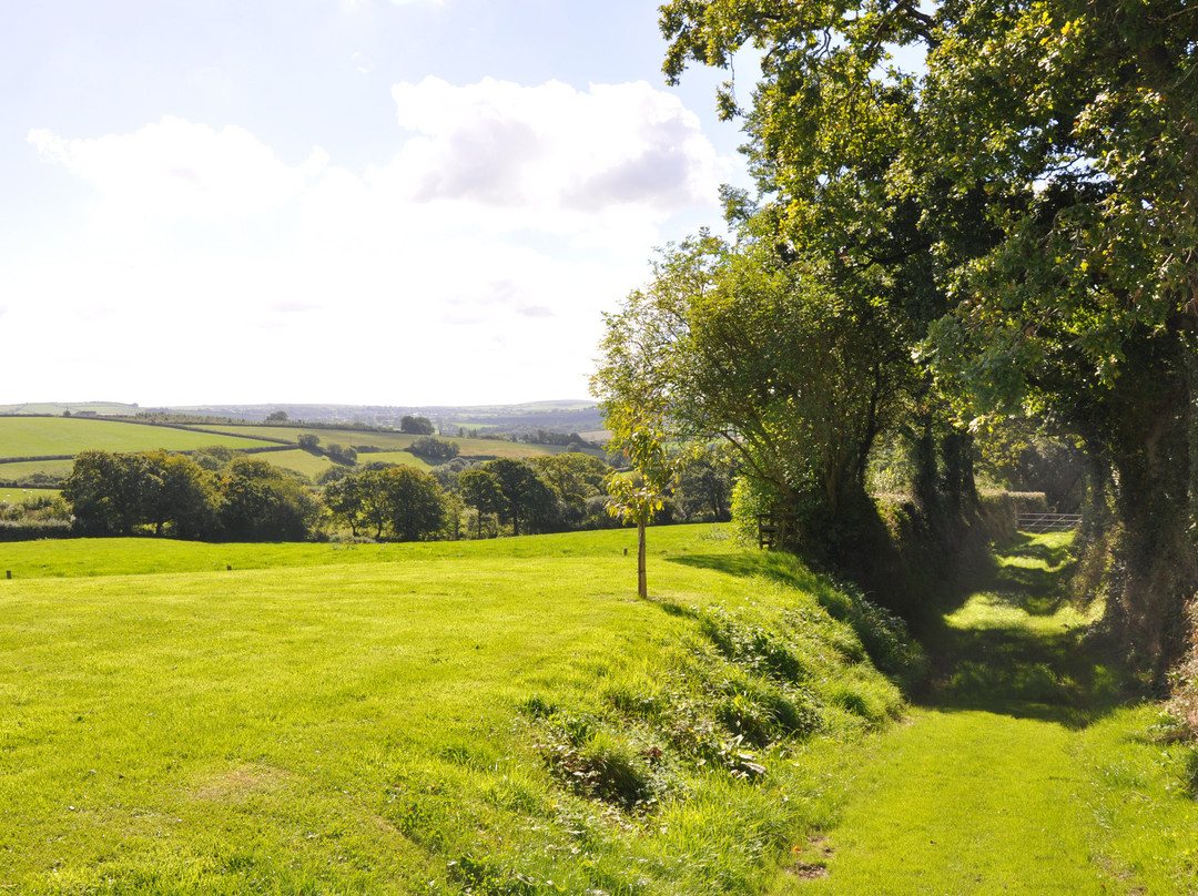 Brazzacott旅游攻略图片