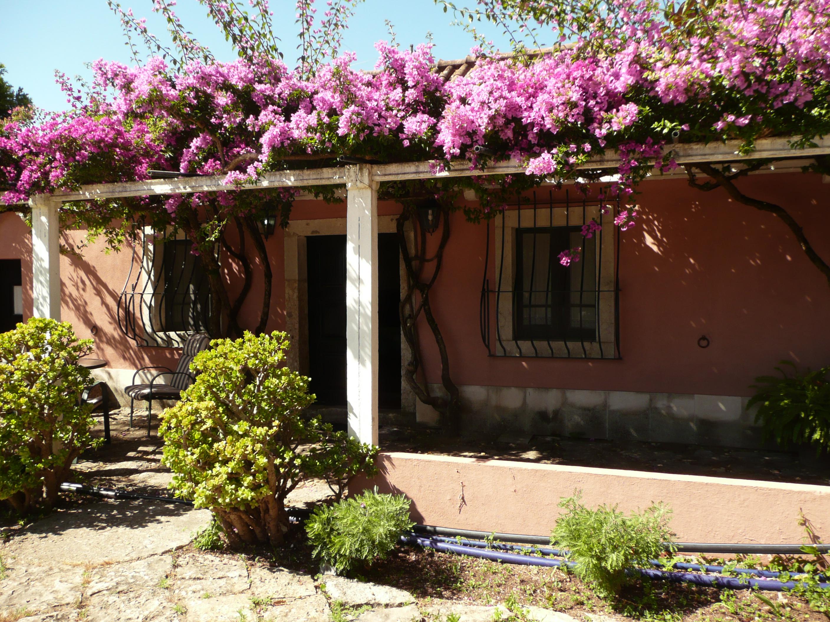 Quinta do Patricio-客卧