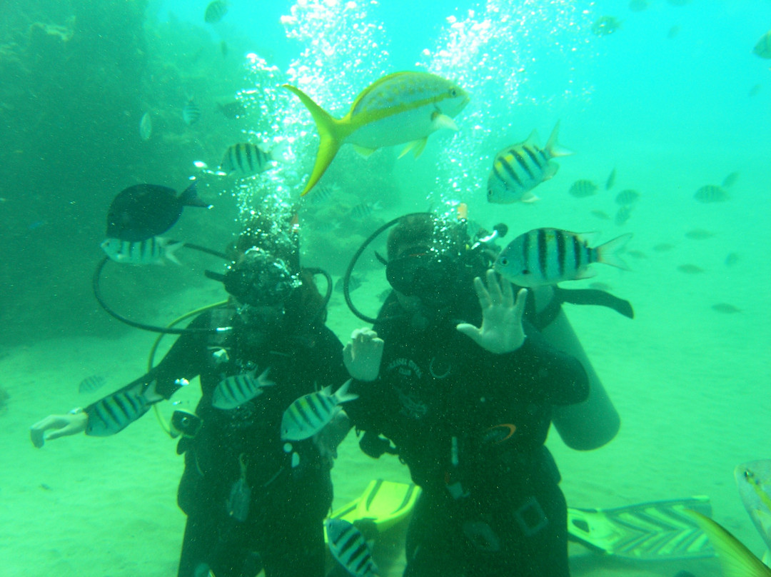Dressel Divers Puerto Plata-普拉塔港必去景点
