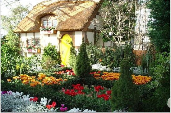 Lewis Ginter Botanical Garden-里士满必去景点