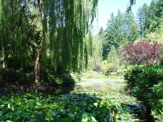 布查特花园-中萨尼奇必去景点