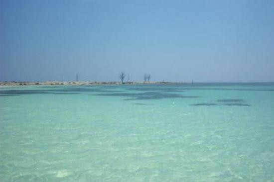 Xanadu Beach-弗里波特必去景点