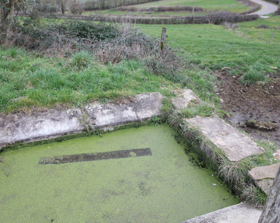 Lavoir les Chenevieres景点图片