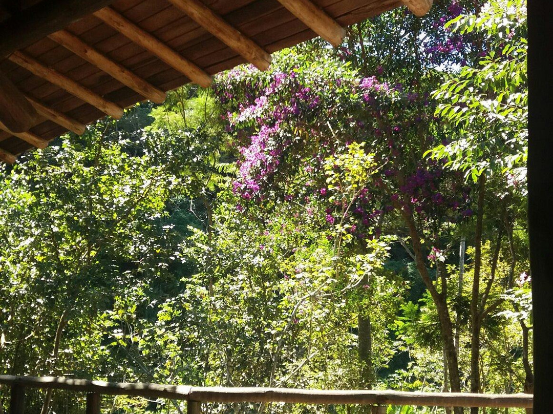 Parque Municipal Atalaia景点图片