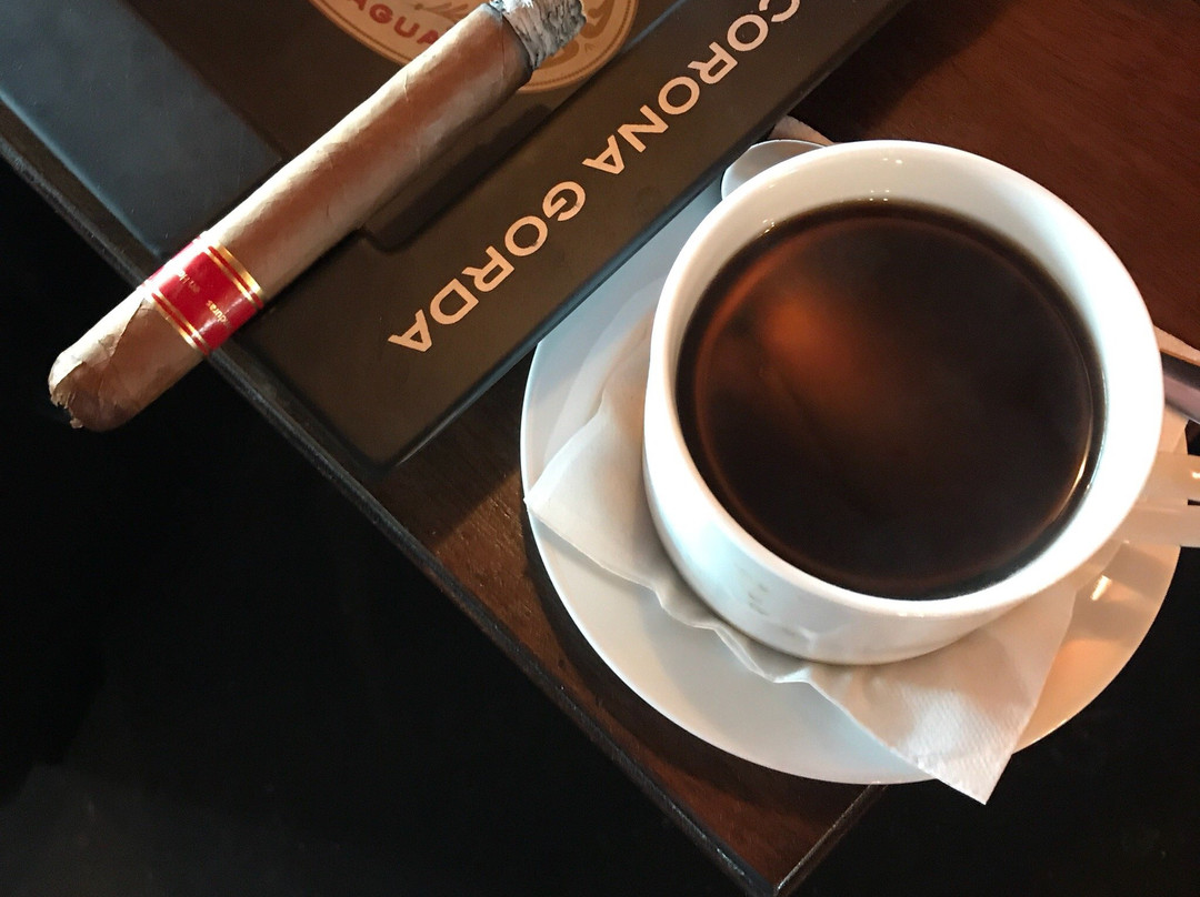 Treasure Island Cigar Lounge-特雷热岛必去景点