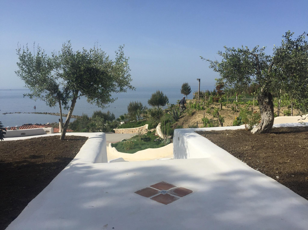 Rinia餐馆和美食-Charli Max Marina