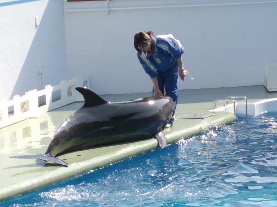 品川水族馆-品川区必去景点