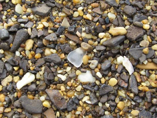 Sandy Point State Park-安纳波利斯必去景点