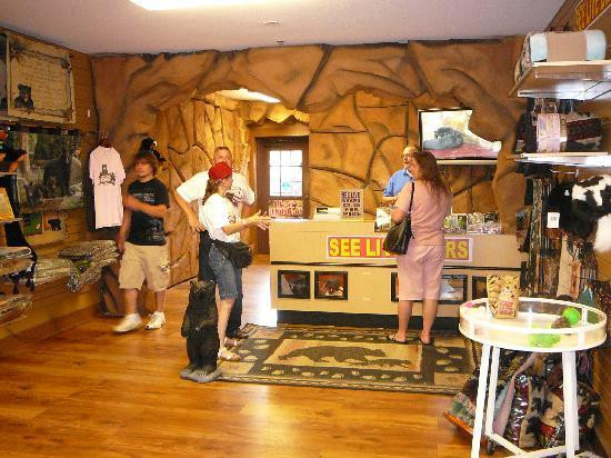 Three Bears General Store-皮金福奇必去景点