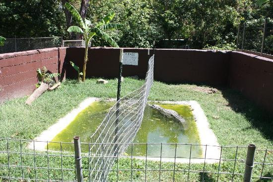 Natural Bridge Zoo-天然桥必去景点