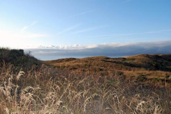 Montana de Oro State Park景点图片