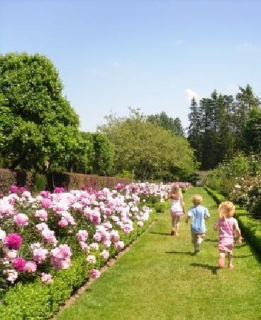 Penshurst Place & Gardens景点图片