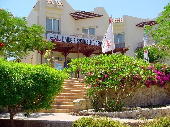 Sinai Dive Club-沙姆沙伊赫必去景点