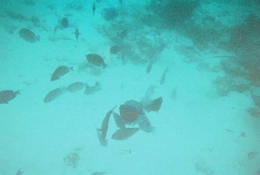 Native Way Charters-七哩滩必去景点