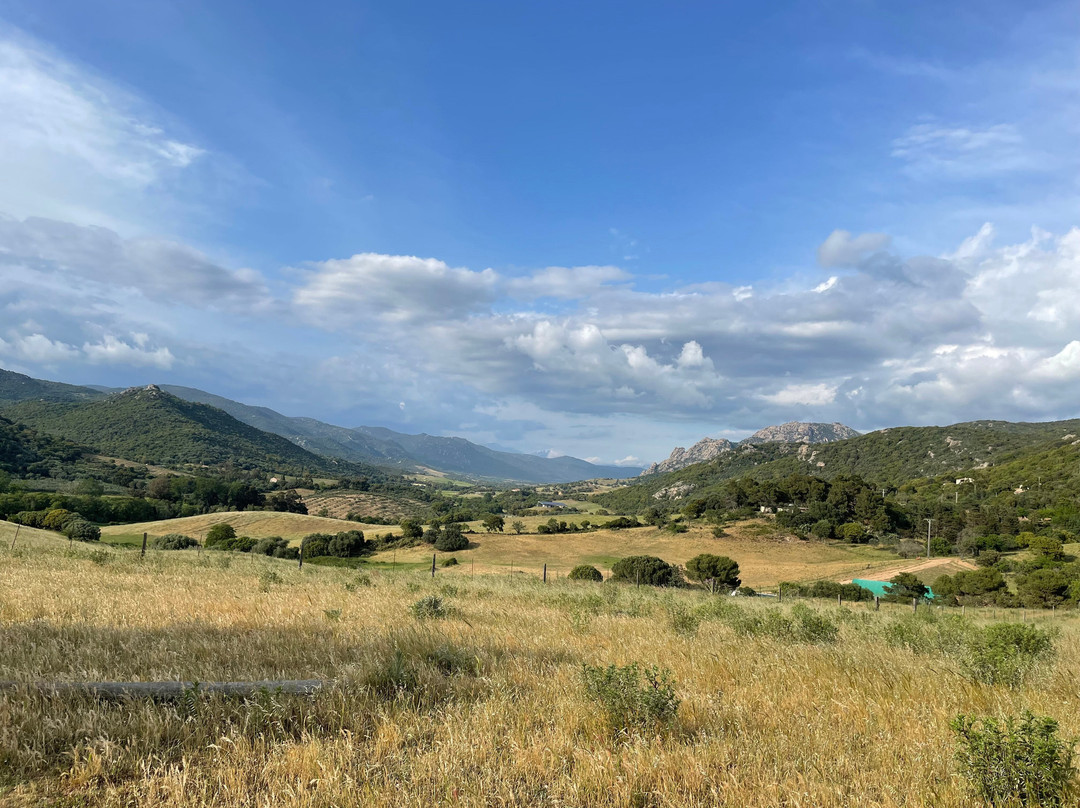 Ferme De Roccapina主图