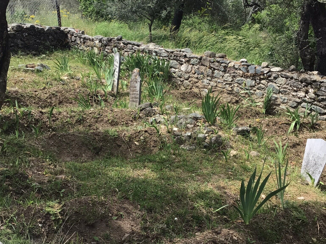 Tahtacilar Village Tahtaci Turkmen Historical Cemetery-埃德雷米特必去景点