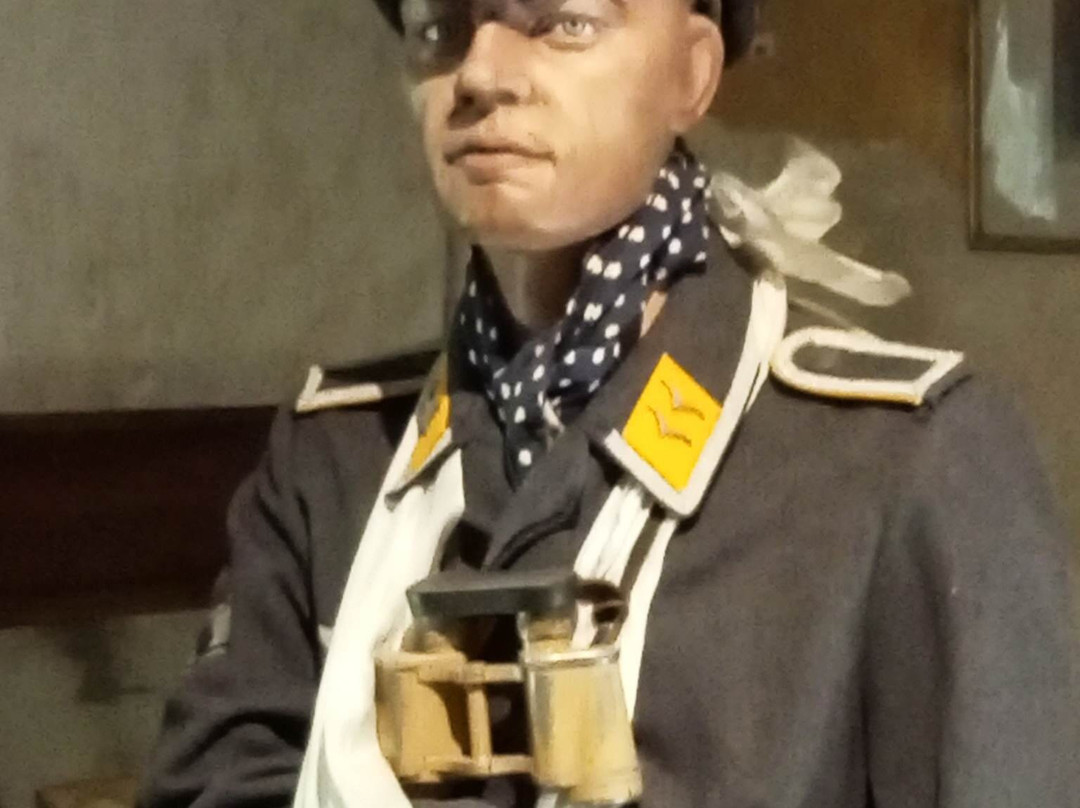 D Day Collins Museum景点图片