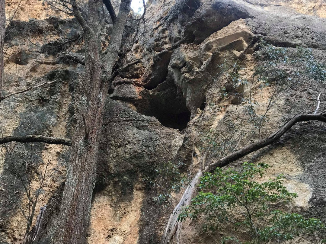 Eye of the Needle Walk-Murrurundi必去景点