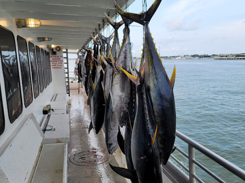 Williams Party Boats-盖维斯顿必去景点