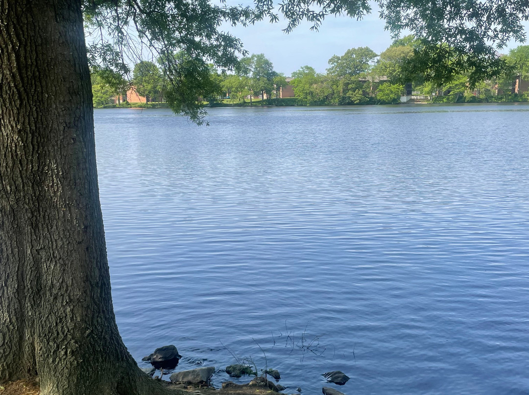 Silver Lake Park-多佛必去景点