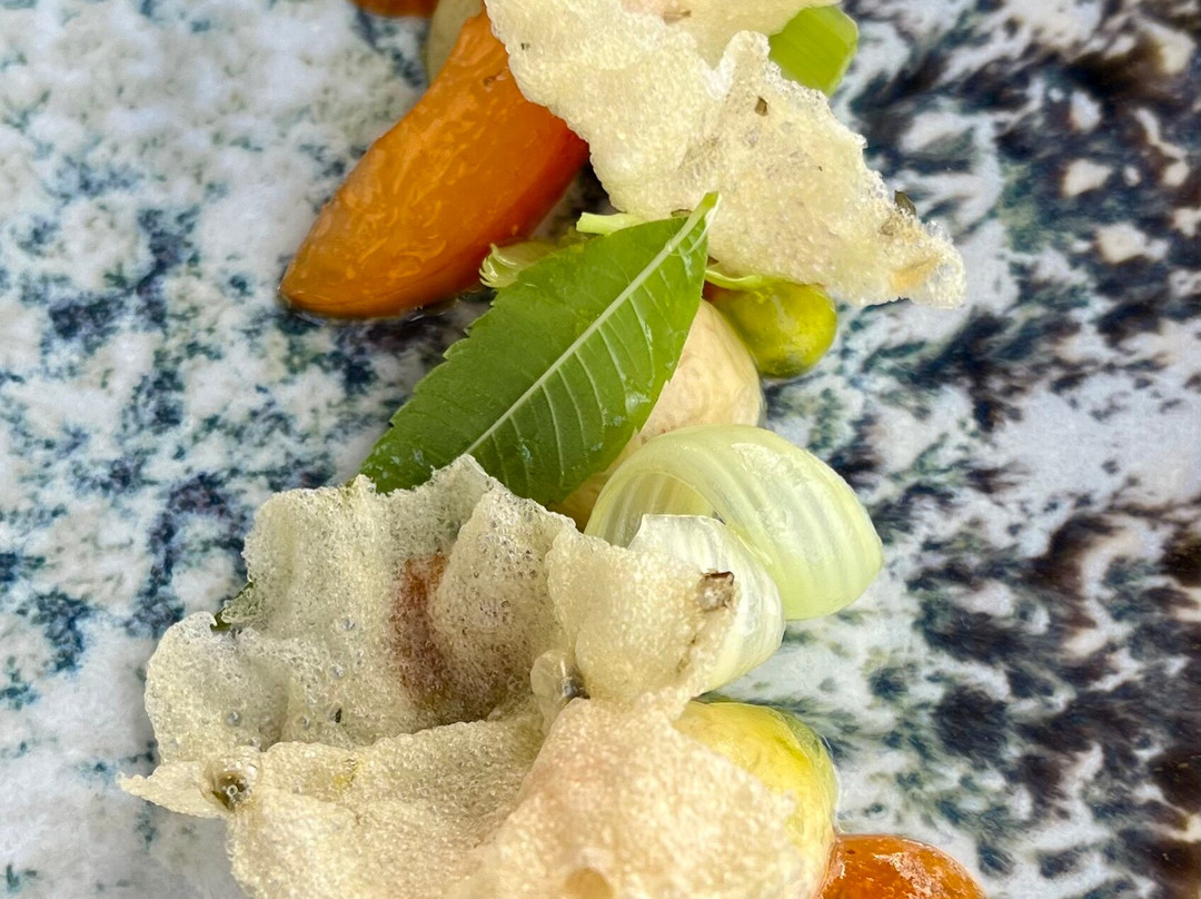 马诺尔酒店主图