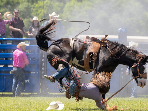 Historic 1836 Chuckwagon Races-Palestine必去景点