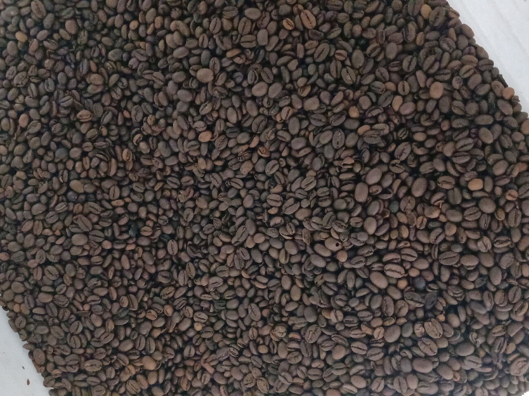 Dersi Coffee Roastery & Vanilla Farm-Batu Layar必去景点