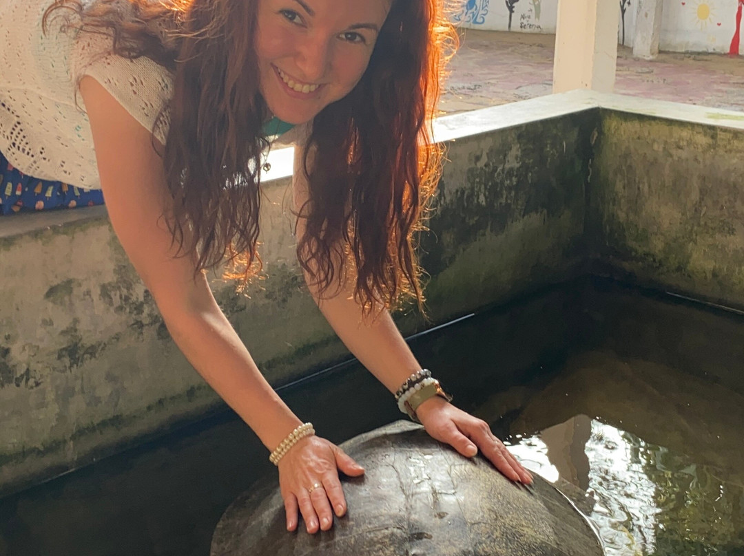 Sri Lanka Car Tours-科伦坡必去景点