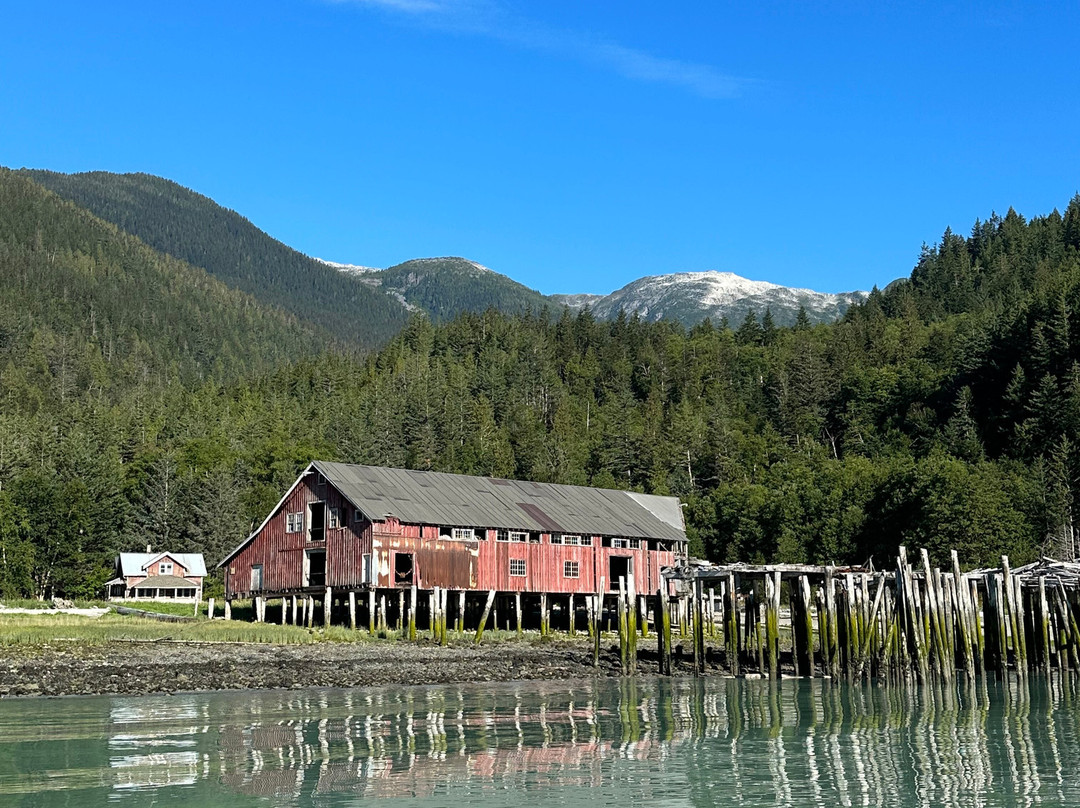 Bella Coola Grizzly Tours-Bella Coola必去景点